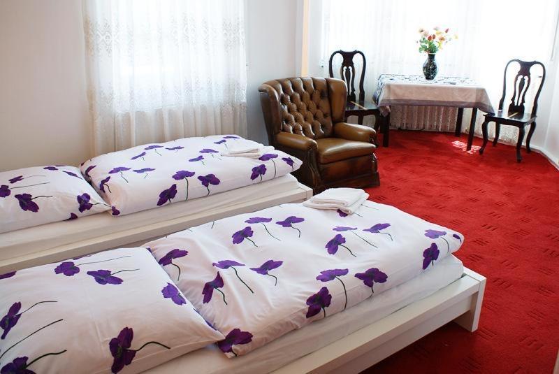 Pension De Lux Königsbrunn المظهر الخارجي الصورة